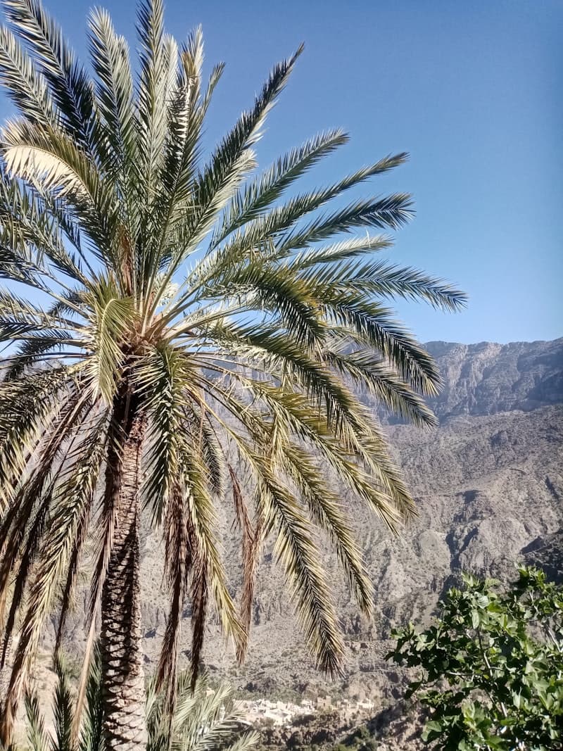 Salalah
